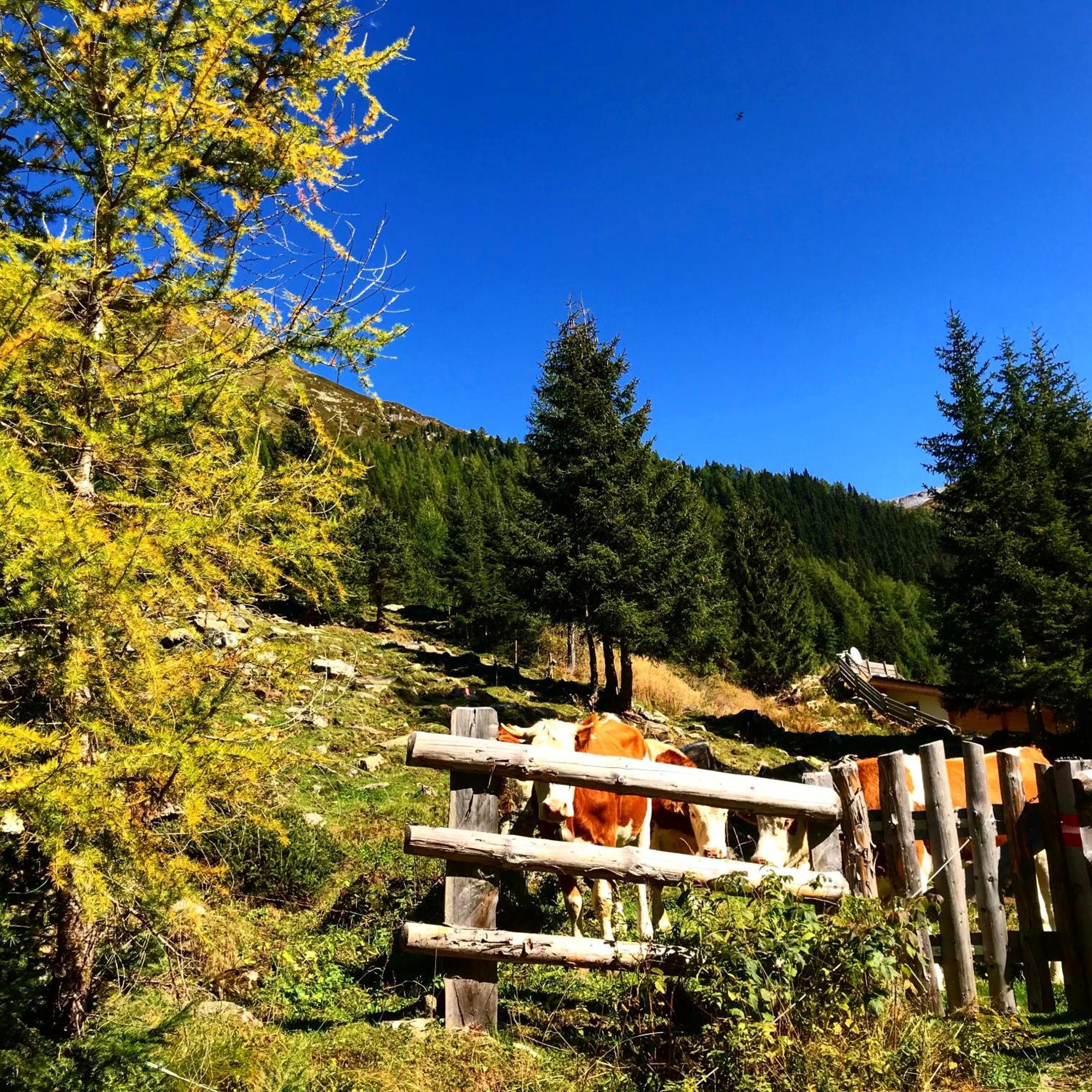 Berghaus Aussergschloess Matrei in Osttirol Exteriör bild