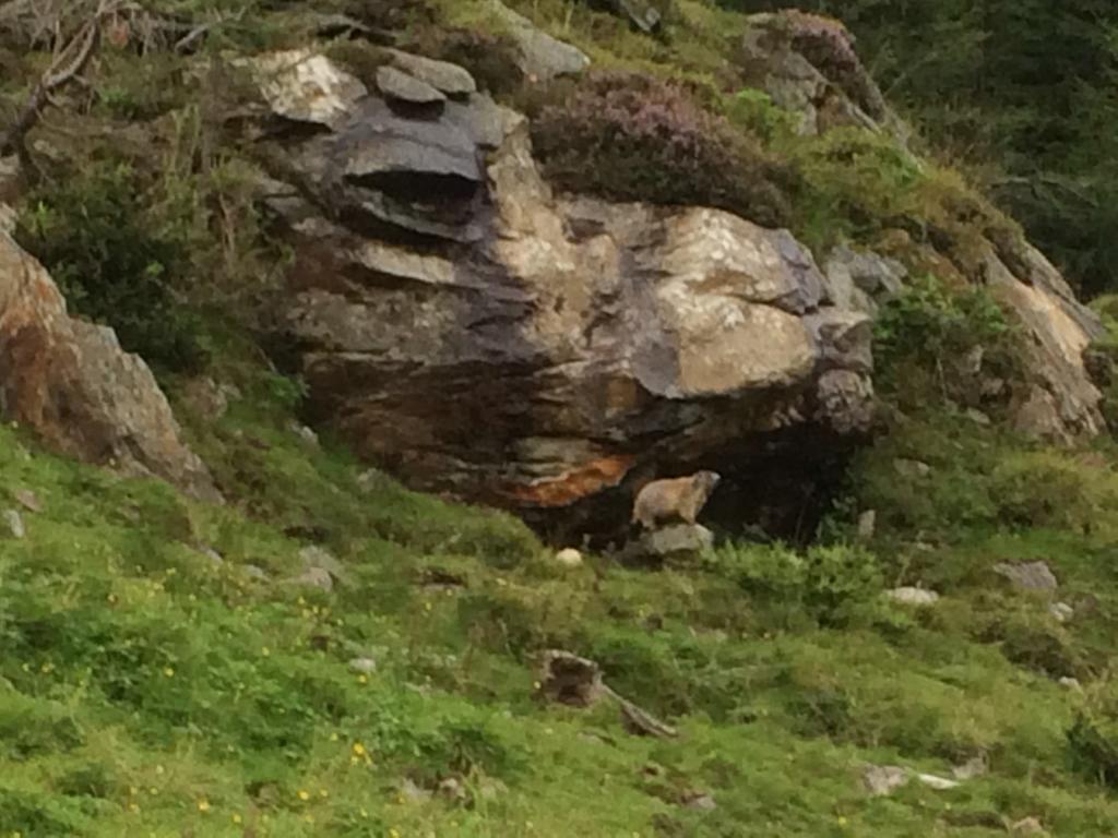 Berghaus Aussergschloess Matrei in Osttirol Exteriör bild