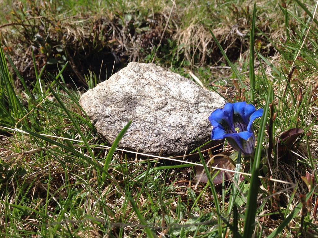 Berghaus Aussergschloess Matrei in Osttirol Exteriör bild